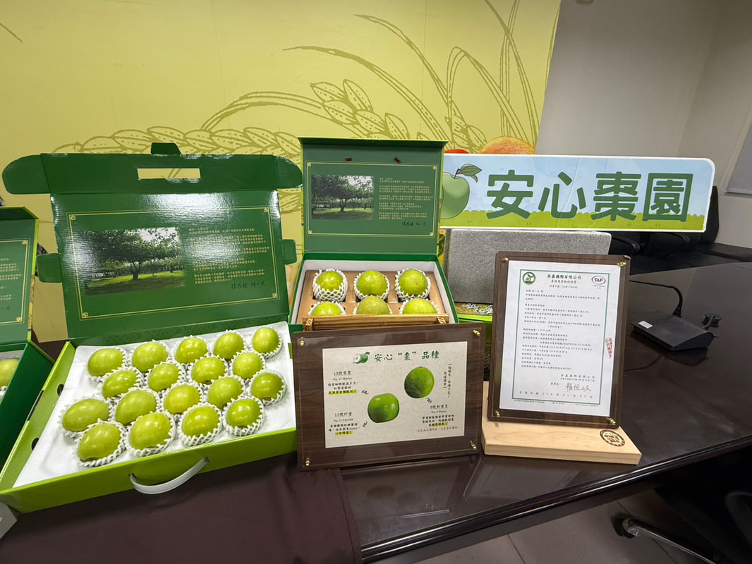一口臺南蜜棗,清脆好滋味 邀您來品嚐 首圖