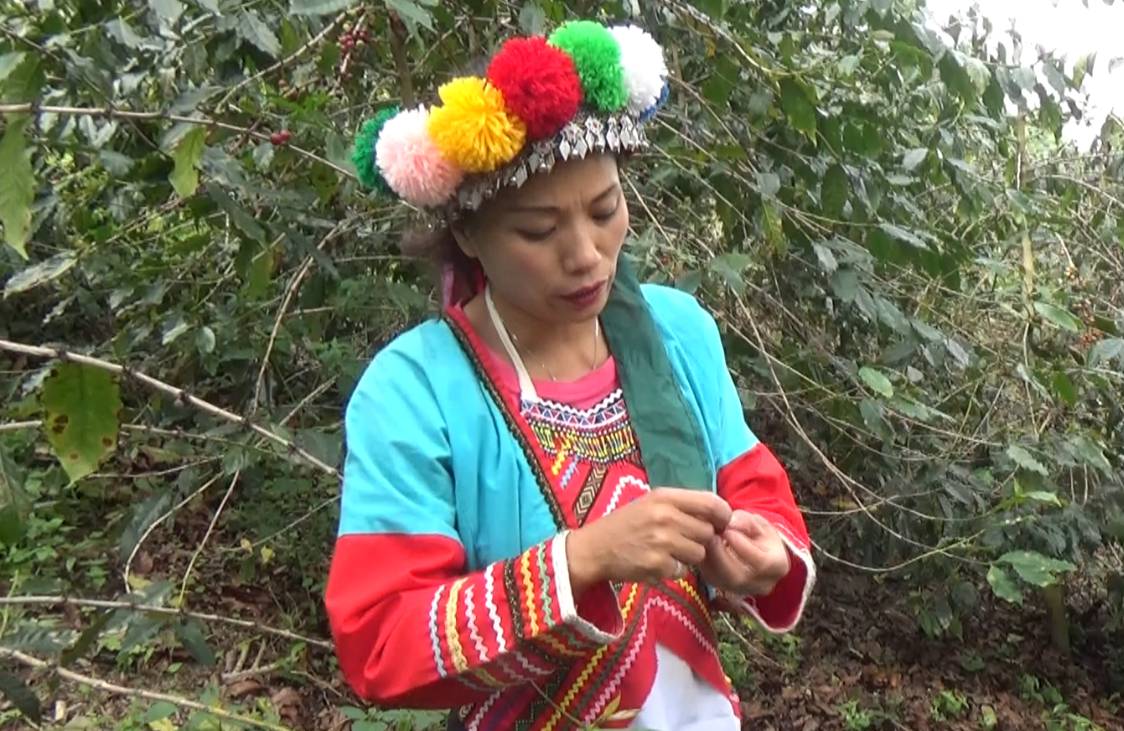 當新住民遇上原住民 愛在深山扎根發芽 首圖