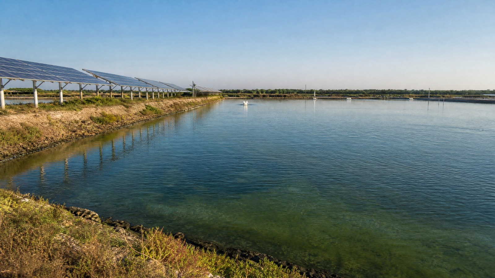 魚塭是否能兼顧養殖與光電,須檢視遮蔽率、主水域日照、水質監測與現場管理。(圖/原創生成示意,非特定案場)